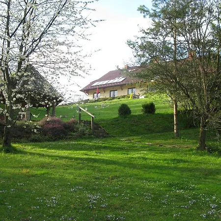 ゲストハウス Zagorzanka Rehabilitacyjno-rekreacyjny Sis Dziadkowiec - Spolka Jawna ムシャナ・ドルナ