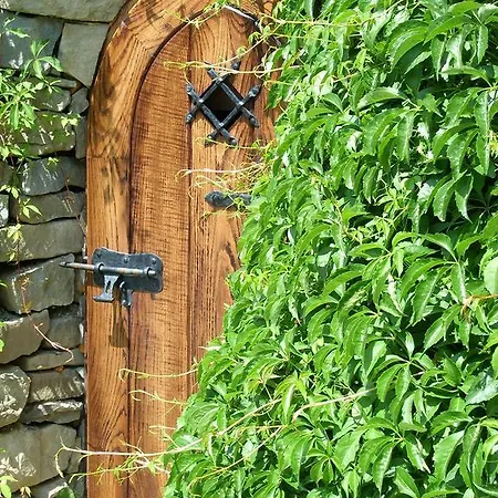 Zagorzanka Rehabilitacyjno-rekreacyjny Sis Dziadkowiec - Spolka Jawna ゲストハウス ムシャナ・ドルナ