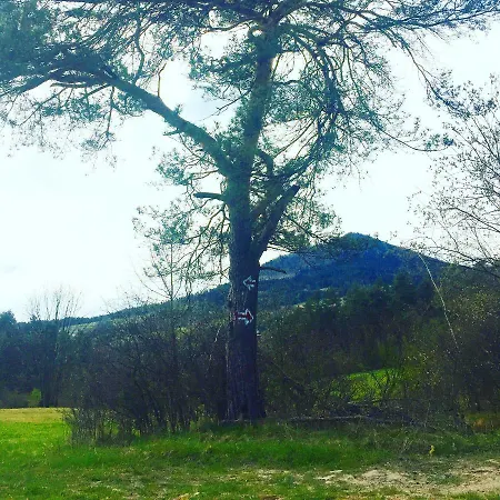 Zagorzanka Rehabilitacyjno-rekreacyjny Sis Dziadkowiec - Spolka Jawna ゲストハウス